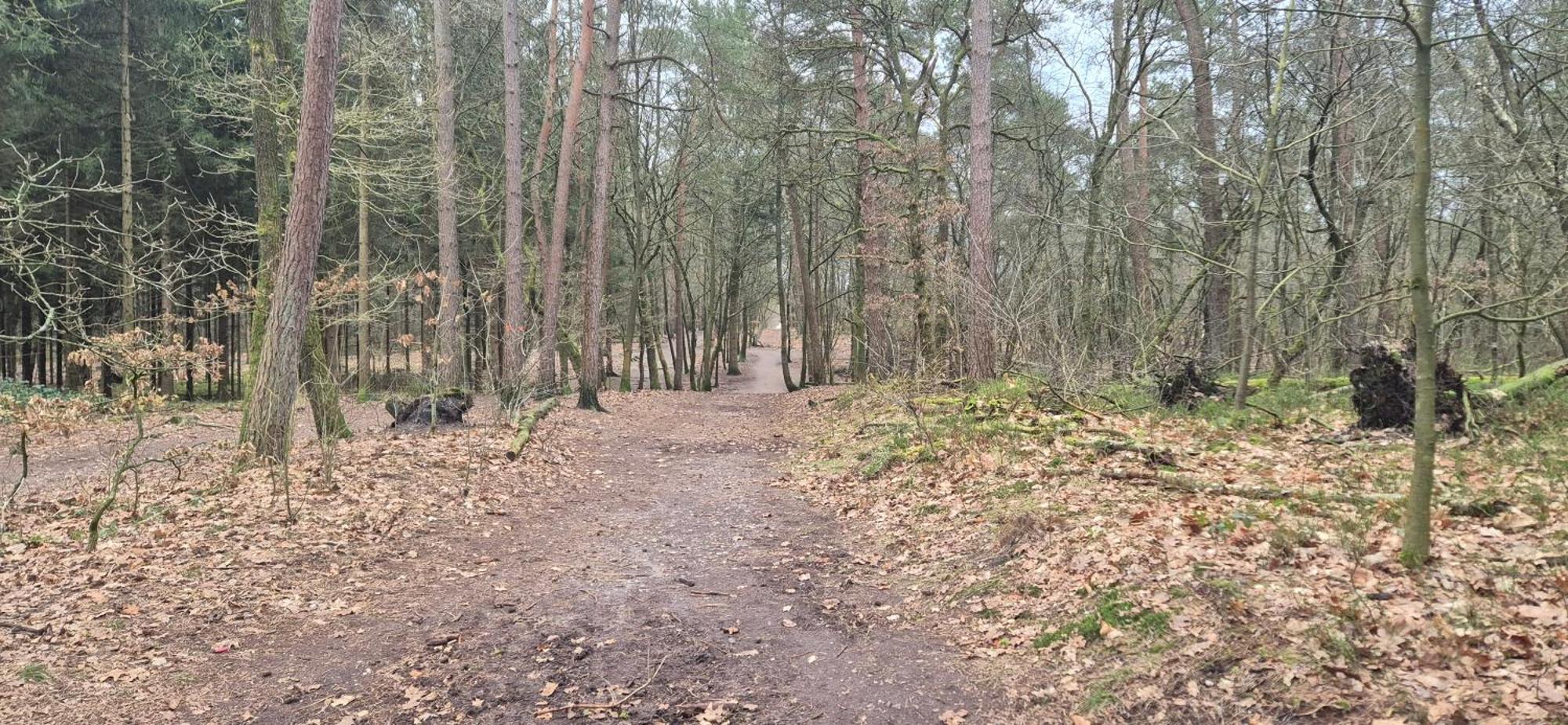 Het Veluwse Boshuisje Knus Chalet Met Omheinde Tuin Op De Veluwe 헨덜루 외부 사진