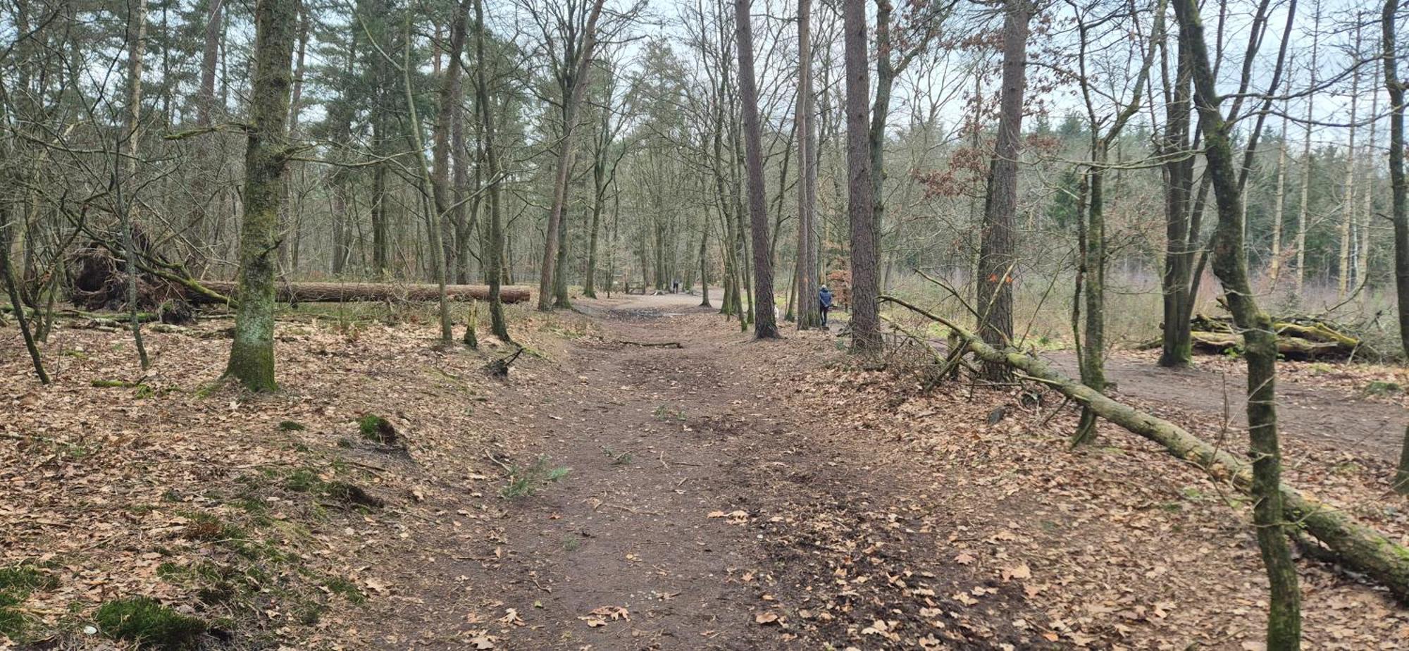 Het Veluwse Boshuisje Knus Chalet Met Omheinde Tuin Op De Veluwe 헨덜루 외부 사진